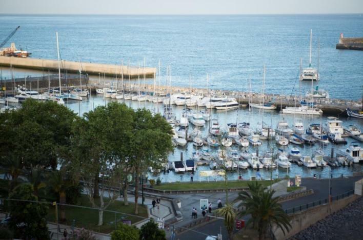 Apartment W Stunning View - Marina - Free Parking & Ac Funchal (Madeira) Exterior foto